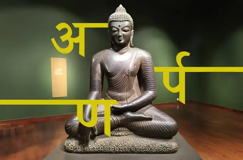 Ghaas ka Tohafa (A Gift of Grass)